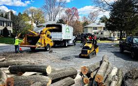 Best Tree Risk Assessment  in Flossmoor, IL